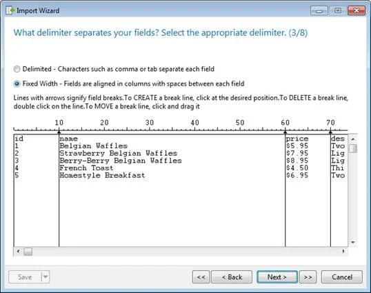 Import Wizard Field Delimiter Screen